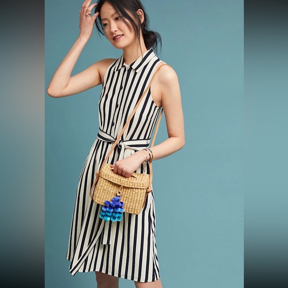 Anthropologie Black and White Striped Midi Dress - Picture 2 of 11